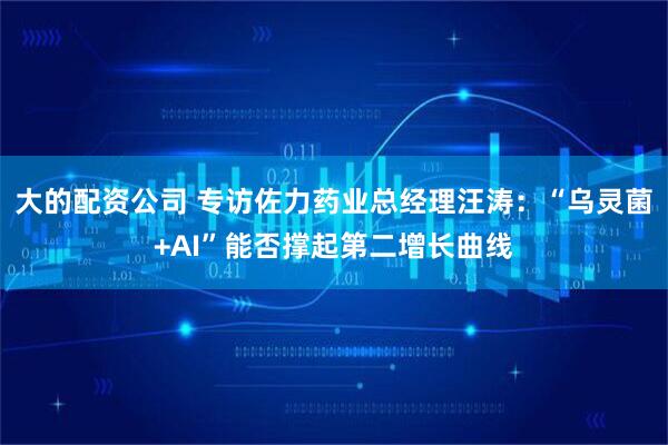 大的配资公司 专访佐力药业总经理汪涛：“乌灵菌+AI”能否撑起第二增长曲线