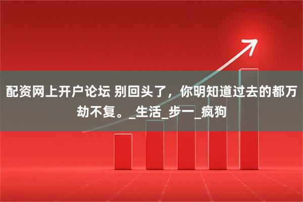 配资网上开户论坛 别回头了，你明知道过去的都万劫不复。_生活_步一_疯狗