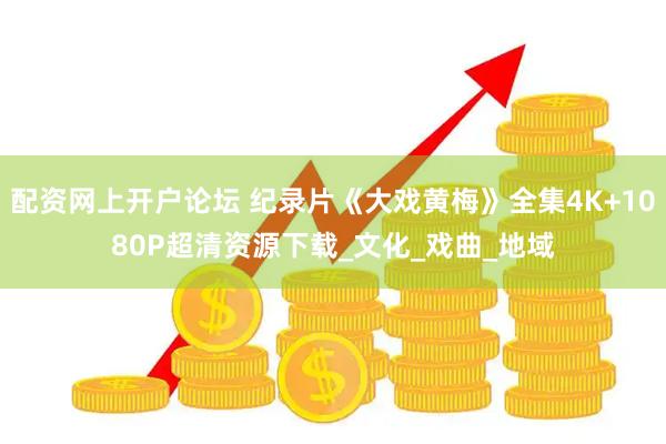 配资网上开户论坛 纪录片《大戏黄梅》全集4K+1080P超清资源下载_文化_戏曲_地域