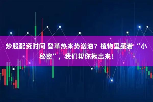 炒股配资时间 登革热来势汹汹？植物里藏着 “小秘密”，我们帮你揪出来！